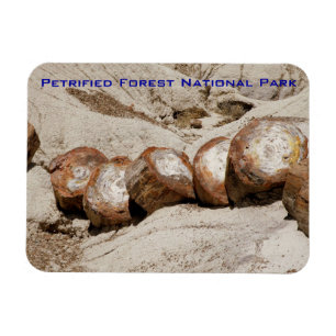 Petrified Forest National Park Magnet