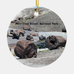 Petrified Forest National Park ornament