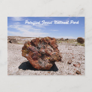 Petrified Forest National Park Postcard
