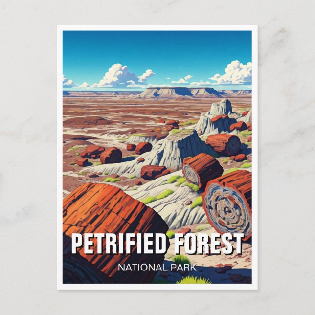 Petrified Forest National Park Travel Souvenir Postcard (Front)