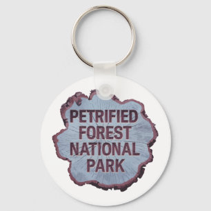 Petrified Forest National Park Tree stump Key Ring