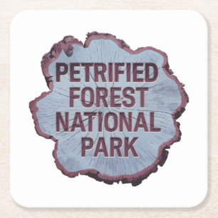 Petrified Forest National Park Tree stump Square Paper Coaster