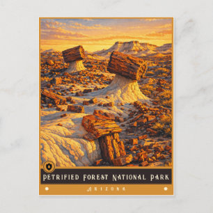 Petrified Forest National Park   Vintage Postcard