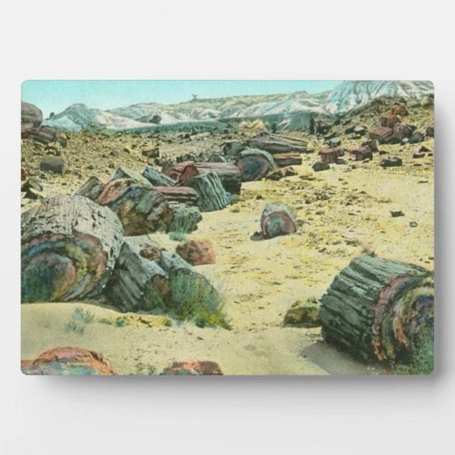 Petrified Forest Plaque (Front)