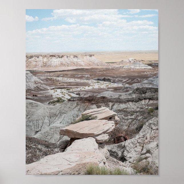 Petrified Forest Print Poster Paper (Semi-Gloss) (Front)