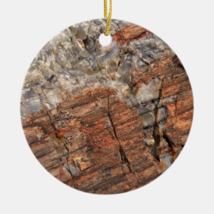 Petrified Log Closeup I Ceramic Ornament