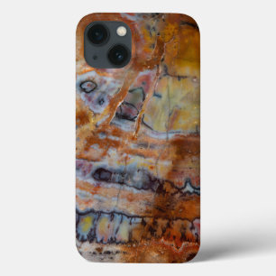 Petrified Wood Brown iPhone 13 Case