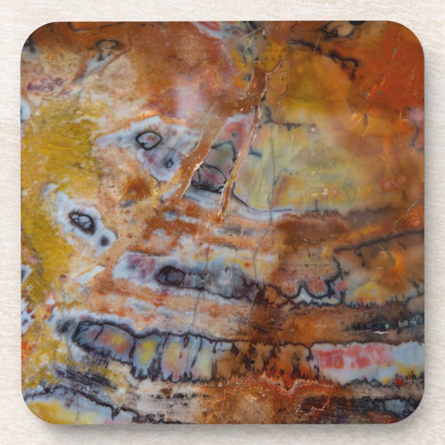 Petrified Wood Brown Coaster (Front)