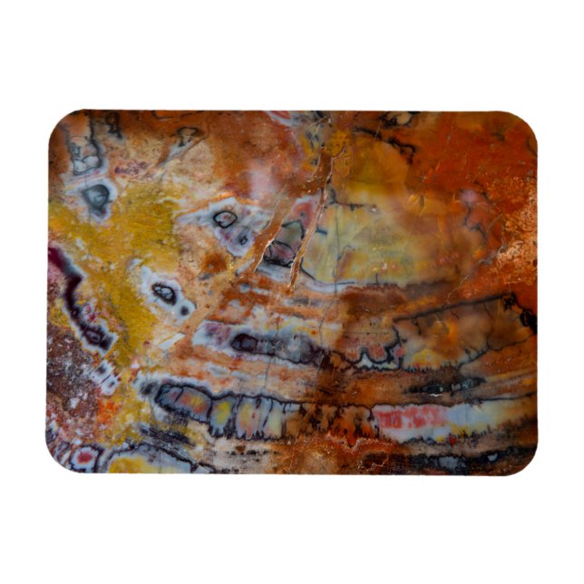 Petrified Wood Brown Magnet (Horizontal)