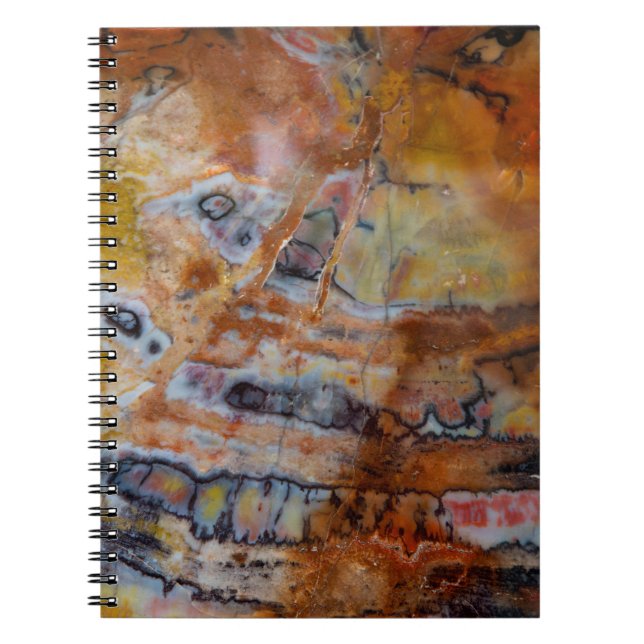 Petrified Wood Brown Notebook (Front)