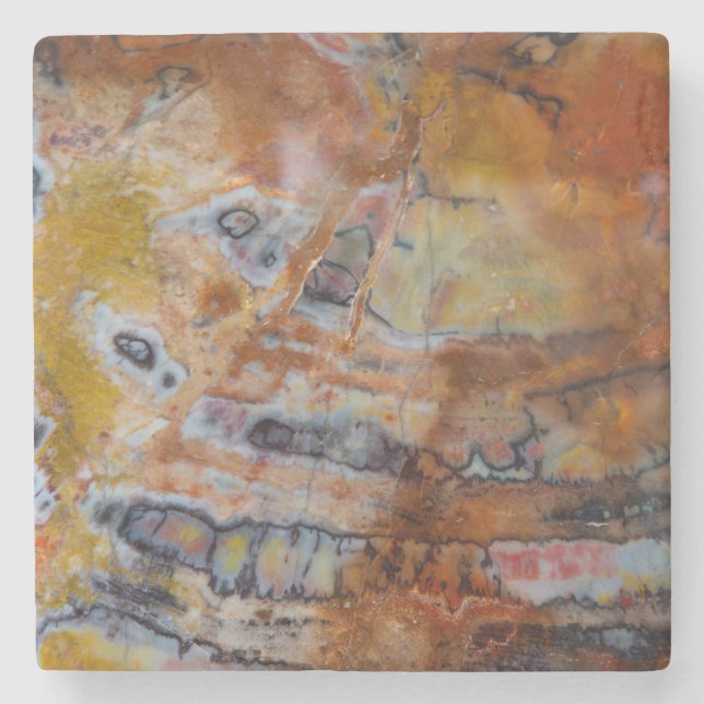 Petrified Wood Brown Stone Coaster (Front)