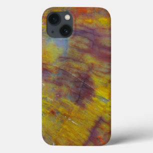 Petrified Wood iPhone 13 Case