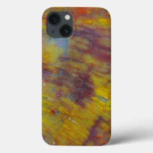 Petrified Wood iPhone 13 Case