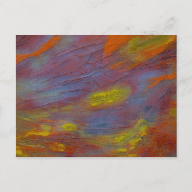 Petrified Wood Close-Up Postcard (Front)