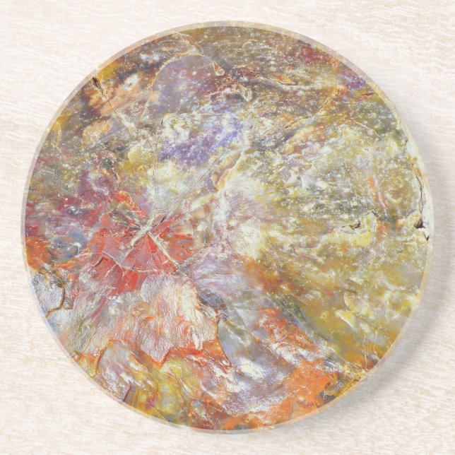 Petrified Wood Coaster (Front)