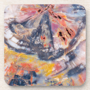 Petrified wood detail, Arizona Coaster