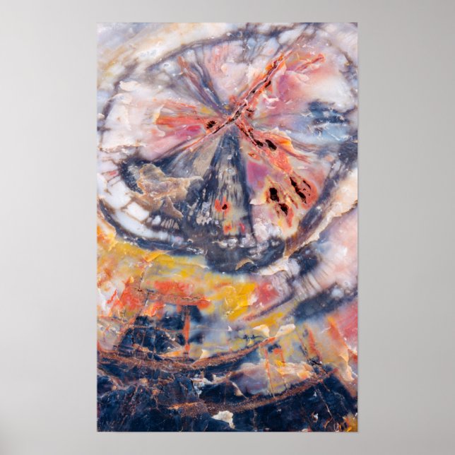 Petrified wood detail, Arizona Poster (Front)