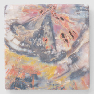 Petrified wood detail, Arizona Stone Coaster