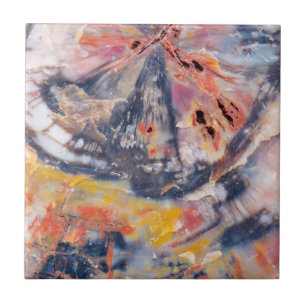 Petrified wood detail, Arizona Tile