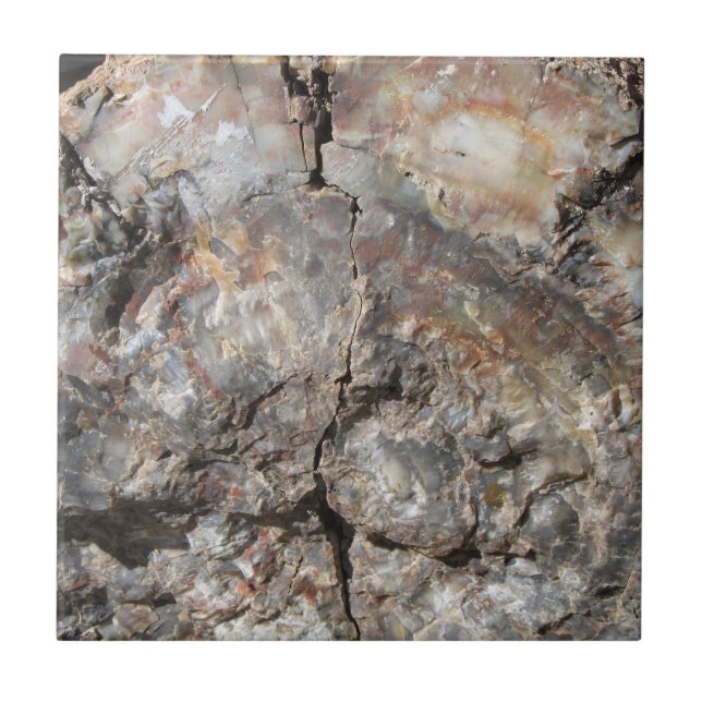Petrified Wood, Front Ceramic Tile (Front)