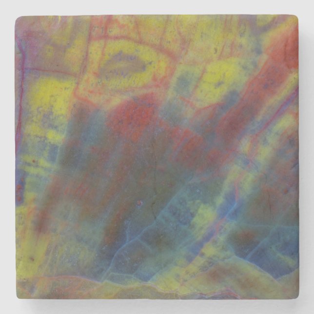 Petrified Wood Horizontal Stone Coaster (Front)