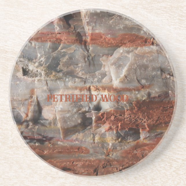 Petrified Wood Image Vacation Memories   Coaster (Front)