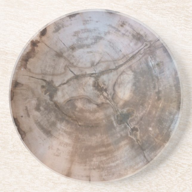 Petrified Wood Melamine Plate Coaster (Front)