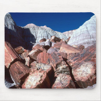 Petrified Wood Mousepad