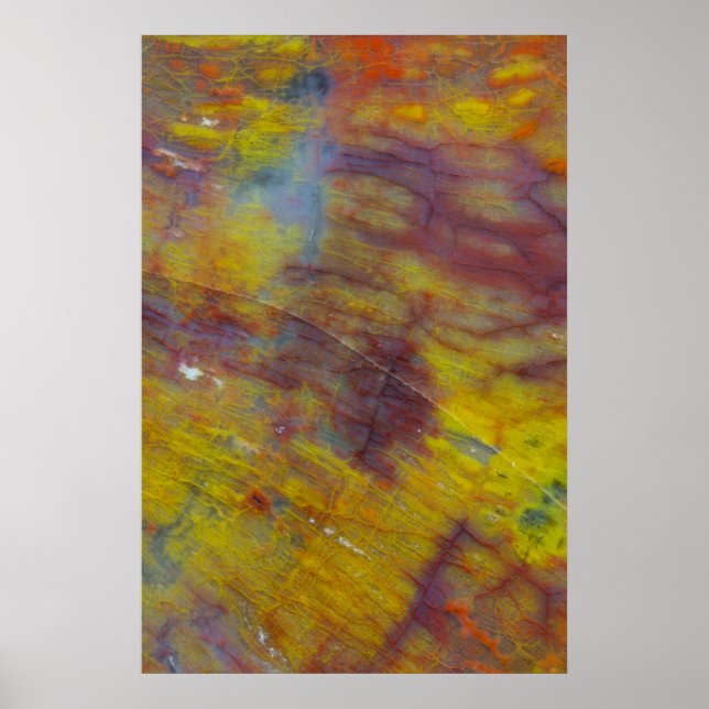 Petrified Wood Poster (Front)