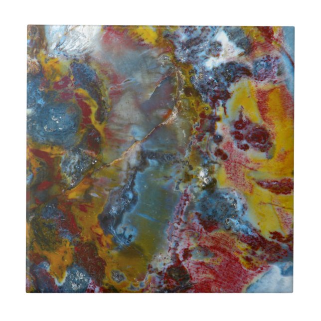 Petrified wood texture ceramic tile (Front)