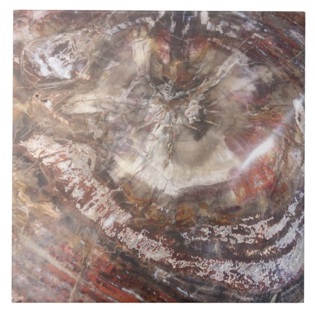 Petrified Wood Tile (Front)