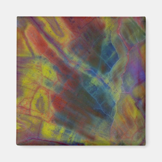 Petrified Wood Vertical Magnet (Front)