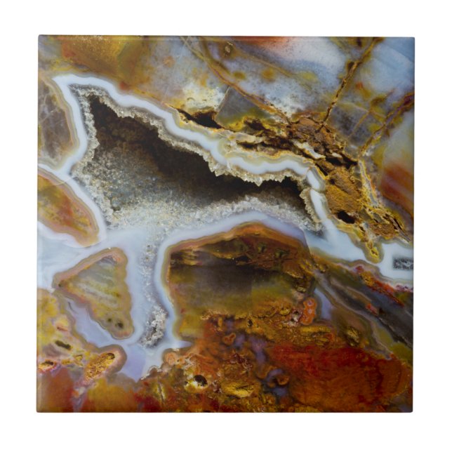 Petrified Wood With Crystals Ceramic Tile (Front)