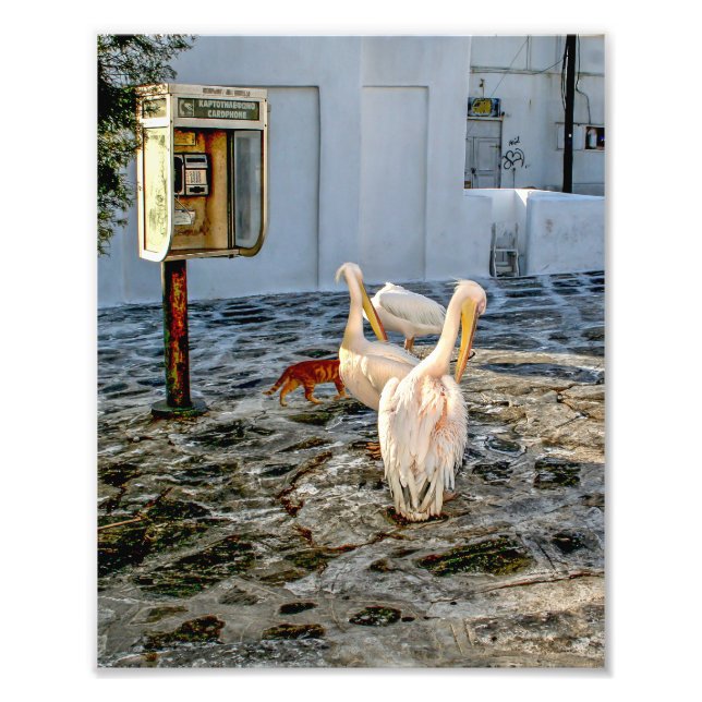 Petros Photo Print (Front)