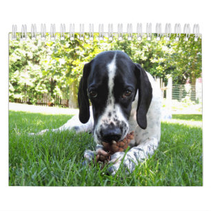 Pets Calendar