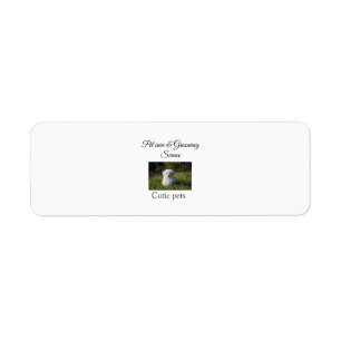 Pets care grooming service add name address text return address label