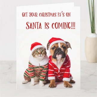 Pets Christmas Card