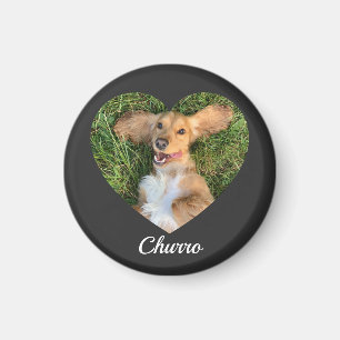 Pet's Cute Modern Typography Name and heart Photo Magnet