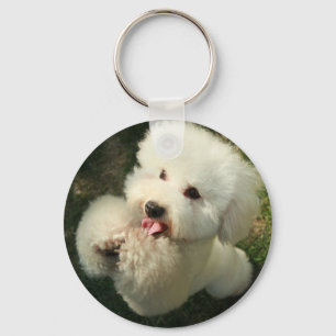 Pets, Dog, Poodle Key Ring