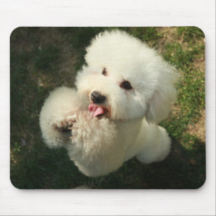 Pets, Dog, Poodle Mouse Pad
