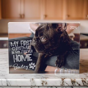 Pet's First Christmas Forever Home Modern Grunge Photo Block