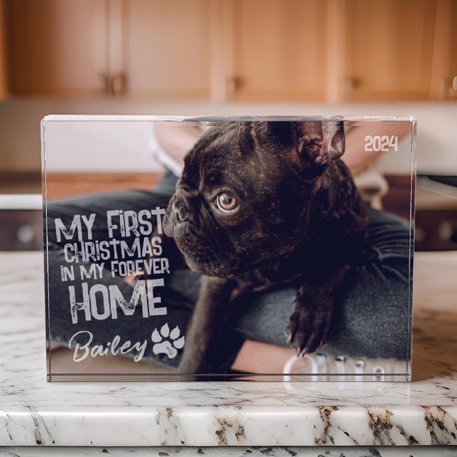 Pet's First Christmas Forever Home Modern Grunge Photo Block (Creator Uploaded)