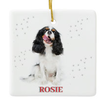 Pet's First Christmas In Forever Home Modern  