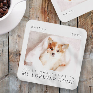 Pet's First Christmas In Forever Home Modern Chic Coaster