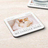 Pet's First Christmas In Forever Home Modern Chic Coaster (Left Side)