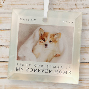 Pet's First Christmas In Forever Home Modern Chic Glass Tree Decoration