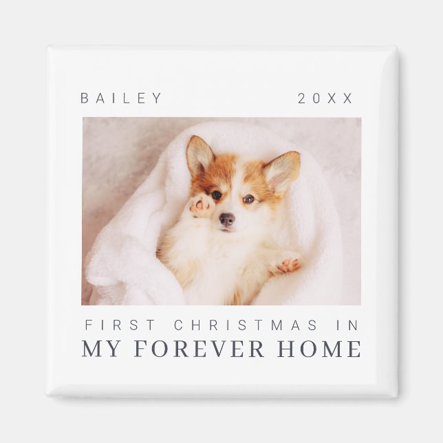 Pet's First Christmas In Forever Home Modern Chic Magnet (Front)