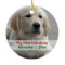 Pet's First Christmas Personalised Photo Template