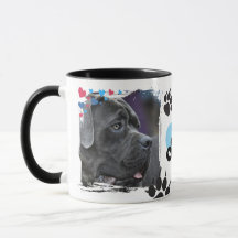PETS LOVER TRENDY MODERN NAME,PHOTO