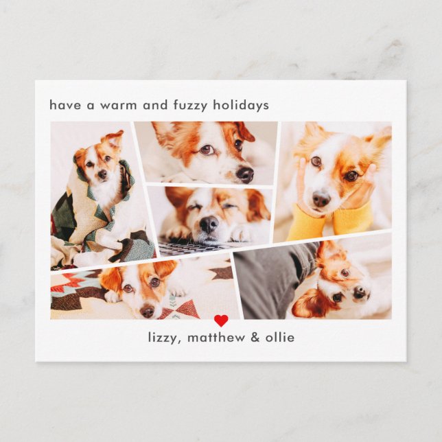 Pets Modern Simple Custom 6 Images Collage Photo Holiday Postcard (Front)